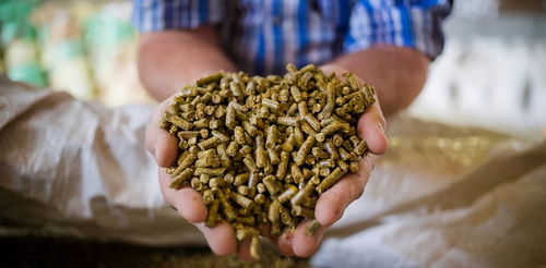 盤點(diǎn)2020年生豬行業(yè)十大關(guān)鍵詞 飼料原料銷售視角