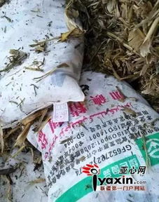 新疆查處首起以飼料鹽為原料制販假食鹽案，飼料原料銷售監(jiān)管引關(guān)注