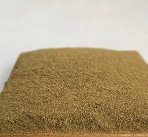 解密鵝產業供應鏈 供應商、價格動態與批發市場及飼料原料銷售全解析