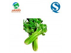 廠家直銷高品質果蔬粉——芹菜粉，助力烘焙、膨化、固體飲料與飼料多元化應用