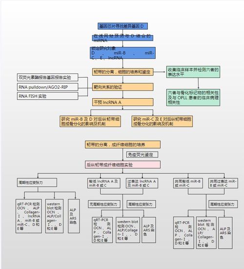 23個(gè)可編輯技術(shù)路線圖模板及繪制技巧詳解 聚焦國(guó)自然9大熱點(diǎn)與北京軟件技術(shù)開發(fā)實(shí)踐